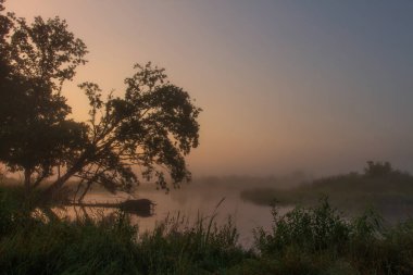 Sisli yaz sabahında güneşin erken doğuşu manzarası. Nehirde sis var. Nehir kıyısına yakın ağaçlar. 