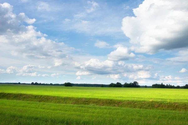 Sommerliche Landschaft Von Grünem Feld Mit Bewölktem Himmel Einem Sonnigen — Stockfoto