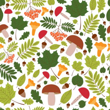 Sonbahar Orman tasarlamak vektör sorunsuz. Yaprak, üvez meyveleri, meşe meşe palamutları ve mantar beyaz arka plan üzerinde. Renkli baskı için Mevsimlik afiş, duvar kağıdı, kağıt ambalaj düşmek veya şablon kartı.