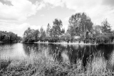 Parkta bahar görünümü