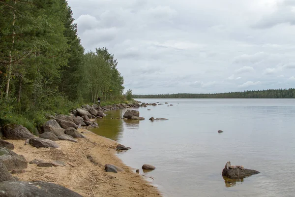 Rotsachtige Oever Van Rivier Forest — Stockfoto