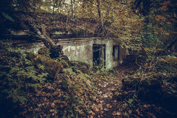 Les Ruines Ancien Bâtiment Fort Dans Les Bois — Photo