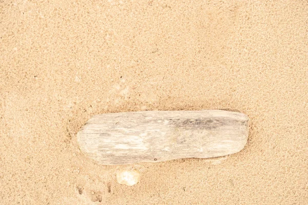 Praia Areia Mar Báltico Golfo Finlândia Verão Pedras Conchas Mexilhão — Fotografia de Stock