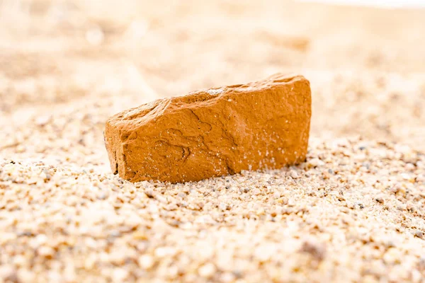 Praia Areia Mar Báltico Golfo Finlândia Verão Pedras Conchas Mexilhão — Fotografia de Stock