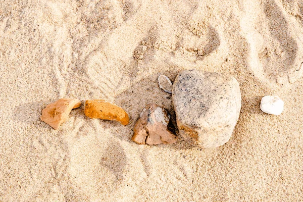 波罗的海上的沙滩 芬兰湾 岩石和贻贝壳 贻贝和贝壳 木材和石头 粗沙和水 — 图库照片