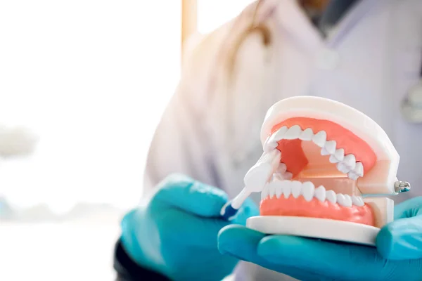 Primo Piano Del Dentista Mano Tiene Mascella Protesi Che Mostra — Foto Stock