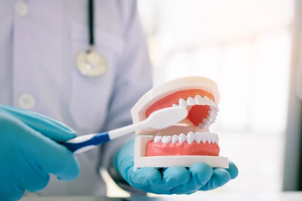 Primo Piano Del Dentista Mano Sta Tenendo Mascella Protesi Che — Foto Stock