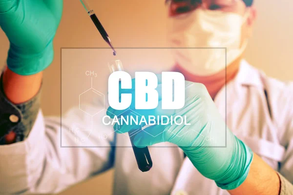 Kenevir yağı, Cbd kavramı, kimyager damlalık bir test tüpü içinde kullanarak sentezleme bileşikler tarafından deneyler yapar.