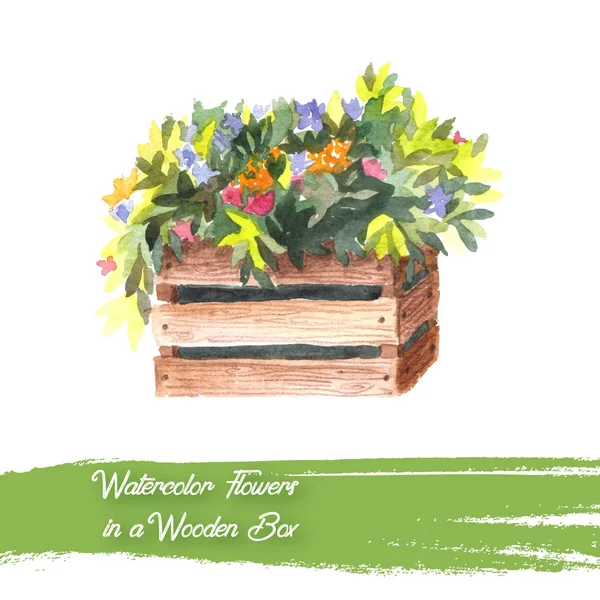 Flores Una Caja Madera Ilustración Que Puede Utilizar Para Sus — Vector de stock