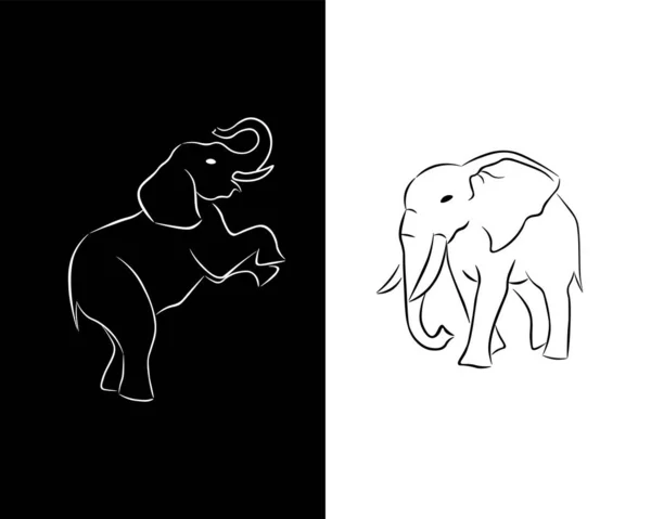 Elefante blanco y negro — Vector de stock