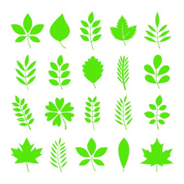 vektör yaprak kümesi