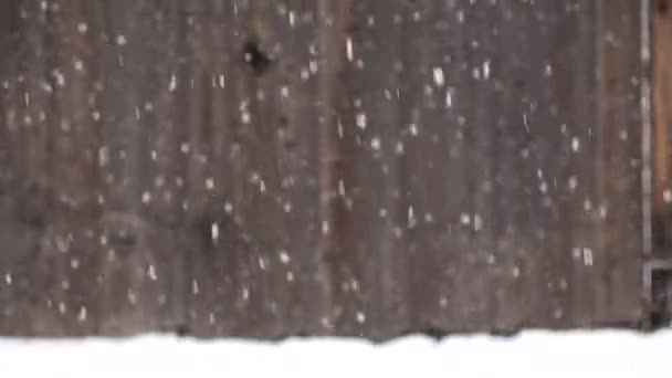 地面に落ちるスローモーションの雪片 — ストック動画