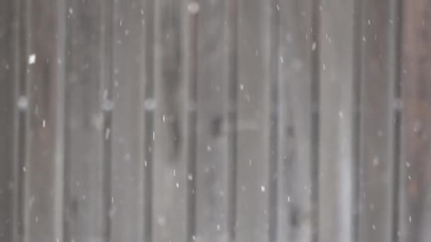 Snow Flakes Falling Portion Defocused Grey Fence Background — Stock Video