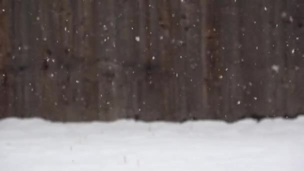 Flocons Neige Tombant Sol Avec Fond Clôture Bois Déconcentré — Video