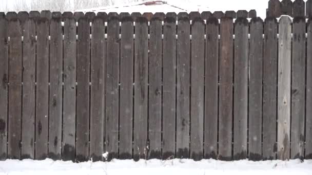 灰色の柵の背景に落ちる雪片 — ストック動画