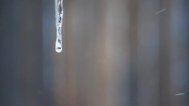 Kış aylarında buz saçaklarından yavaş yavaş damlar..