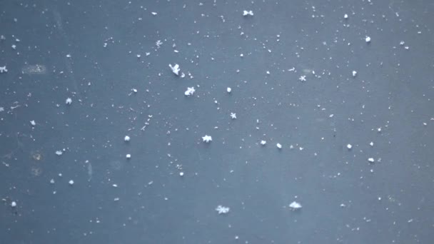雪花落在黑色的金属表面上 然后融化掉 — 图库视频影像