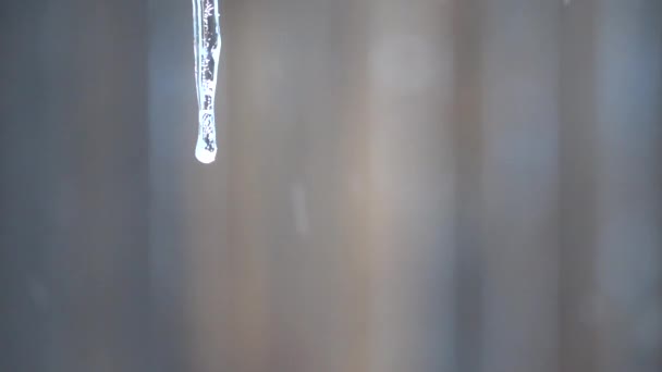 雪花落在一个冰柱后面 落在一个褐色的背景上 — 图库视频影像
