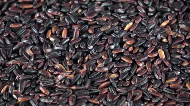 Organic Japonica Rice Close Spinning Video — Stock Video