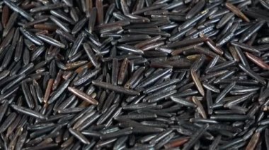 Organik yaban pirinci dönen videoyu kapat