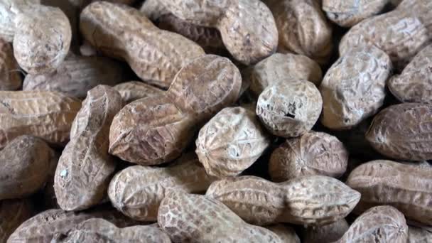 Organic Raw Unroasted Shell Peanuts Close Spinning Video — Stock Video