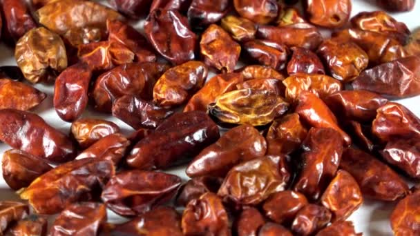 Gedehydrateerde Chili Pequin Peper Spinnen Video — Stockvideo