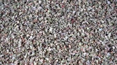 Susuz kalmış marjoram baharat çevirme videosu