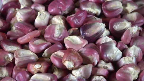 脱水紫色纯种玉米纺纱视频 — 图库视频影像