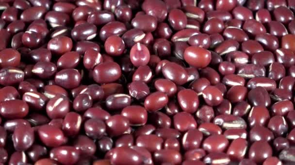 Dehydrated Red Adzuki Beans Spinning Video — Stock Video