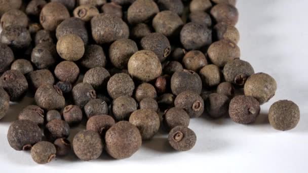 Intero Disidratato Allspice Filatura Video — Video Stock