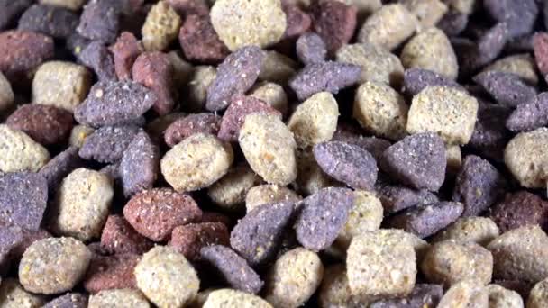 Multicolored Dog Food Kibble Spinning Video — Stock Video