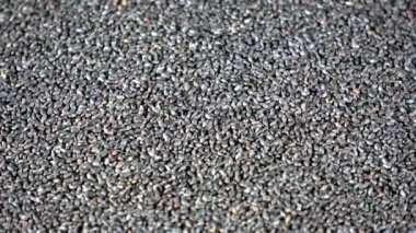 Kurutulmuş fesleğen tohumu baharatı dönen video