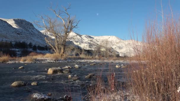 Río Ondulado Fría Mañana Invierno Con Una Luna Cielo — Vídeos de Stock