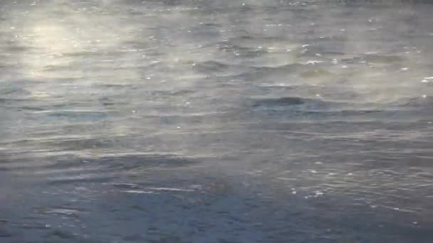 Ατμό Τρεχούμενο Νερό Του Ποταμού Κυματισμούς Και Κύματα — Αρχείο Βίντεο