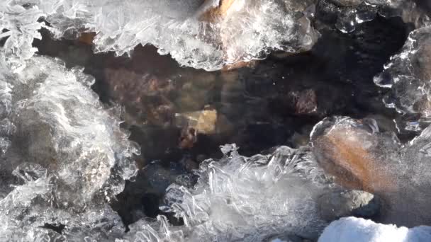 Eau Coulant Sous Trou Glacé Dans Ruisseau Gelé Hiver — Video