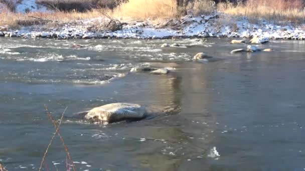 Wasser Fluss Fließt Langsam Schneebedeckten Felsigen Ufern Mit Baumreflexen Vorbei — Stockvideo