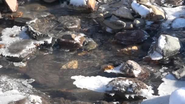 水在冰冻的河床上奔腾而过 岩石上结了雪 — 图库视频影像