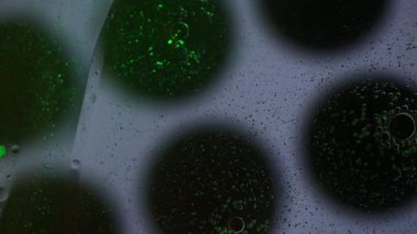 Yağ ve su kabarcıkları, yeşil ışıkla aydınlatılan siyah noktaların üzerindeki şekiller gibi amiplerde yavaşça hareket eder..