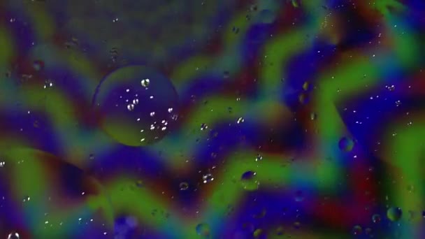 Пузырьки Масла Воды Медленно Перемещаются Психоделическому Узору — стоковое видео