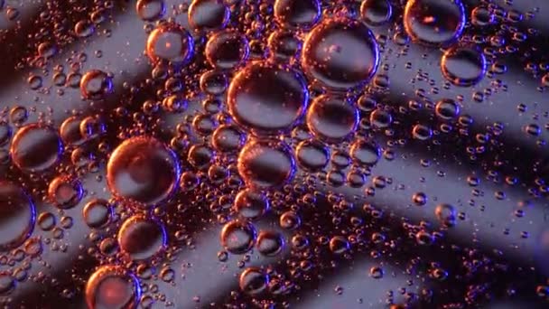 Big Little Oil Water Bubbles Swirl Slowly Black White Bars — Stock Video