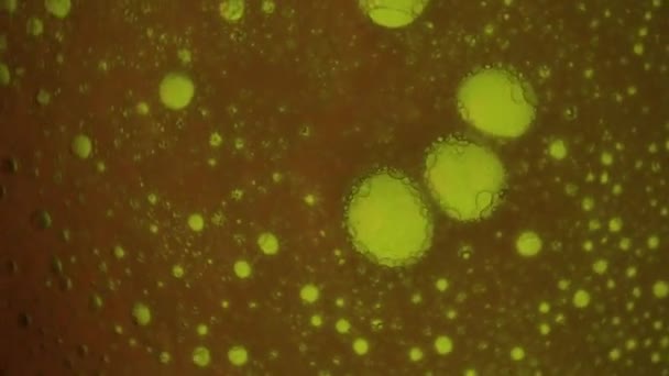 Ciemnobrązowy Pomarańczowy Olej Woda Małe Pęcherzyki Pianki Poruszają Się Warstwach — Wideo stockowe