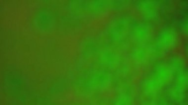  Turuncu köpük ile yeşil bubbled su odaklanmak için genelinde odak vardiya