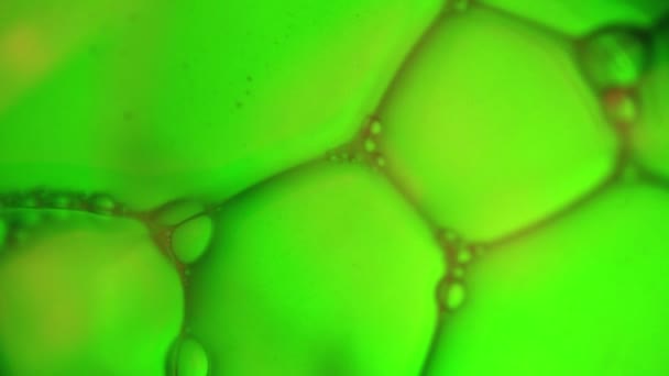 点灯した緑色の石鹸の泡水を横切るフォーカスシフト — ストック動画
