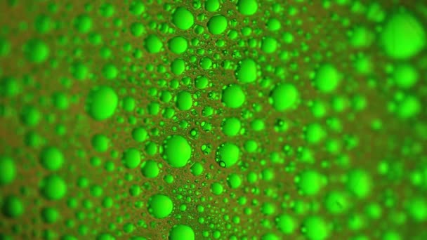 Green Soapy Bubbled Water Quaking Movement — Stock Video