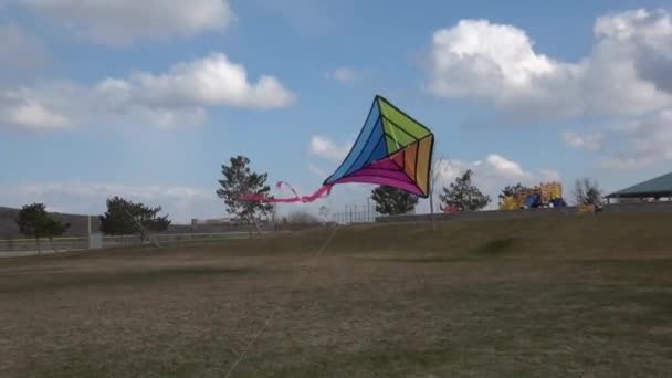 Veelkleurige Vlieger Begint Vliegen Een Winderige Dag — Stockvideo