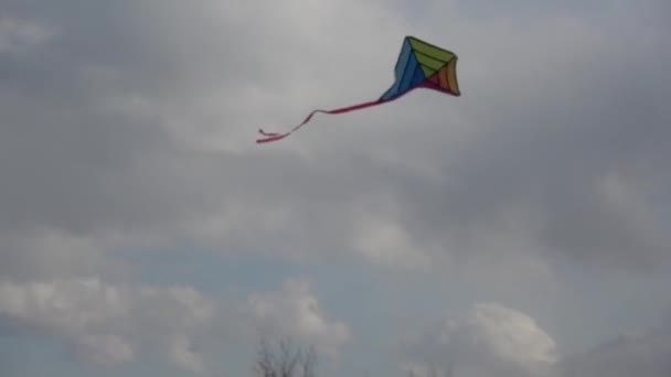 強風で飛ぶ色とりどりの凧にズームイン — ストック動画