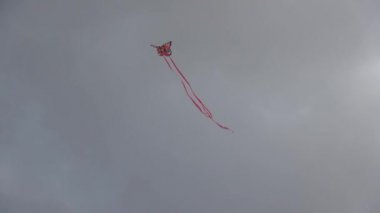 Karamsar bir karanlık gökyüzüne karşı uzun kuyrukları ile Uçan kelebek uçurtma