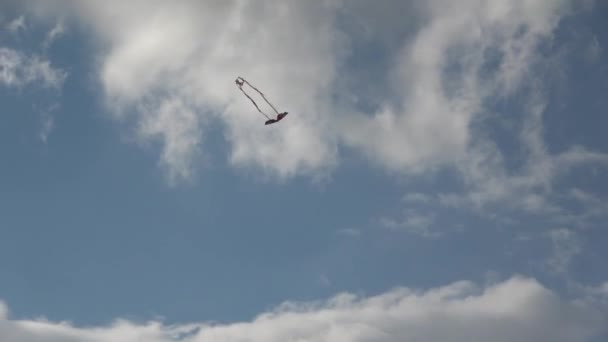 Duiken Butterfly Kite Met Lange Staarten Tegen Een Mooie Blauwe — Stockvideo