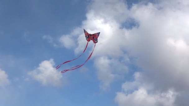 Cerf Volant Papillon Plongeur Avec Longues Queues Entrant Sortant Cadre — Video