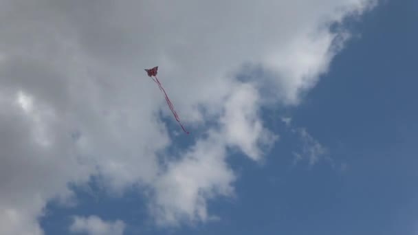 Cometa Mariposa Voladora Con Largas Colas Contra Cielo Nublado — Vídeos de Stock